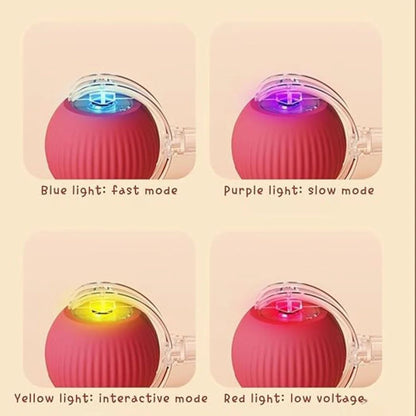 Led light ball for cats