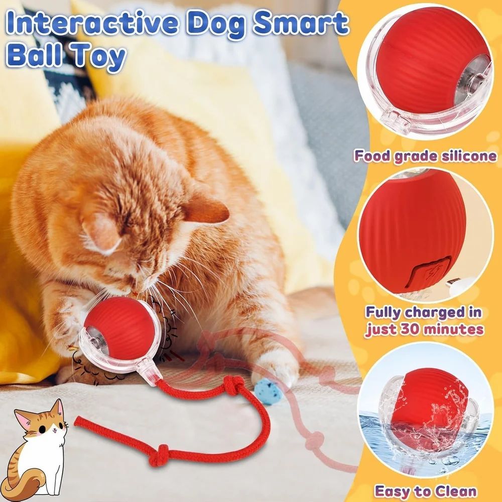 Led light ball for cats