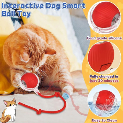 Led light ball for cats
